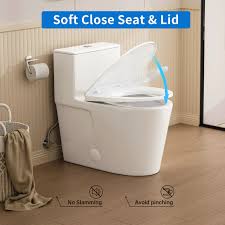 Toilet Seats